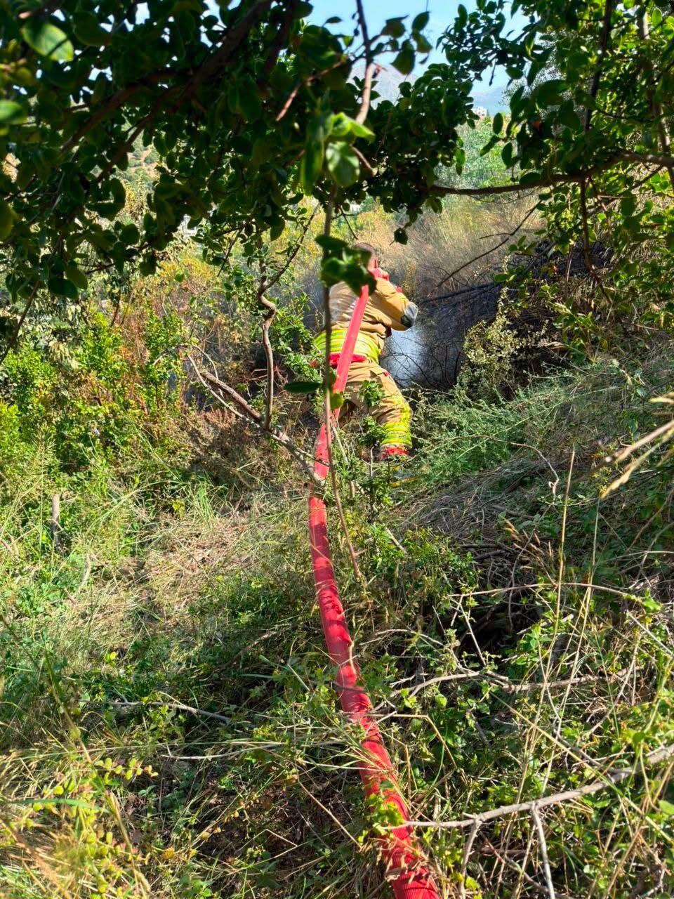 Hatay İskenderun’da Ağaçlık Alanda Yangın Çıktı3