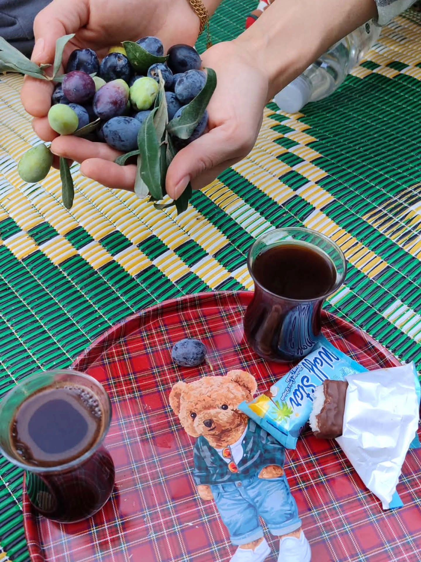 Hatay Kumlu'da Zeytin Hasadı Başladı6