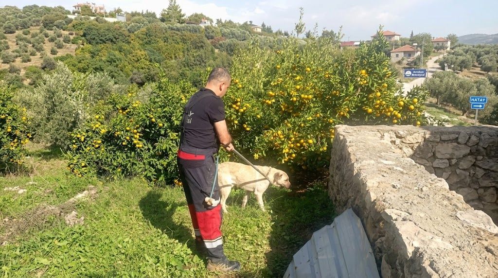 Hatay
