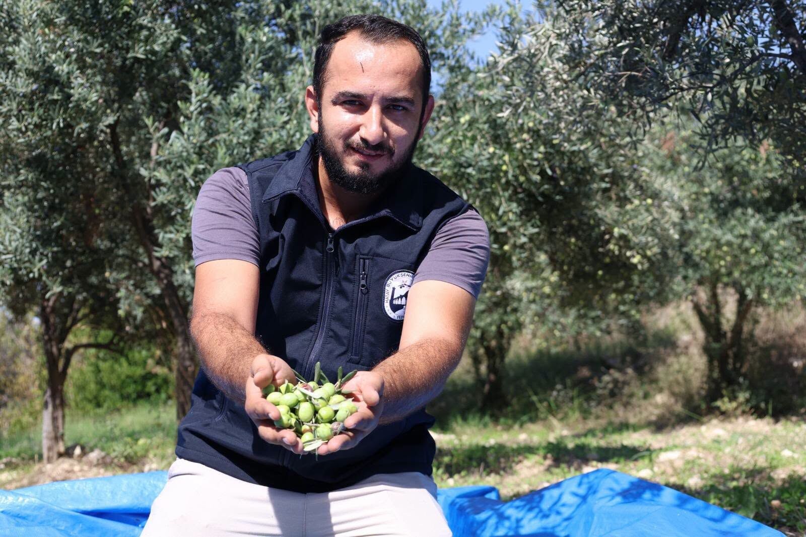 Hatay’da Zeytin Üreticilerine 820 Hasat Seti Desteği