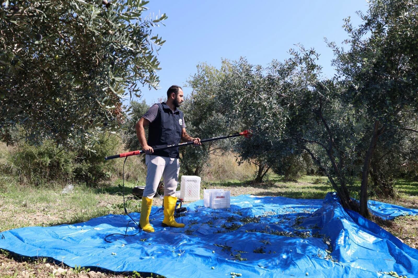 Hatay’da Zeytin Üreticilerine 820 Hasat Seti Desteği3