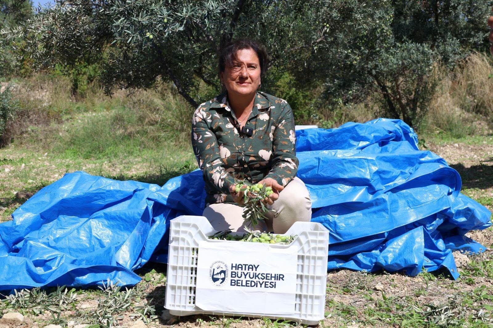 Hatay’da Zeytin Üreticilerine 820 Hasat Seti Desteği6