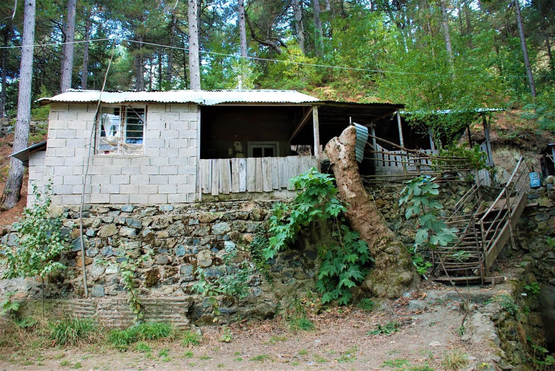 Osmaniye Göğöküz Yaylası Doğaseverleri Bekliyor4