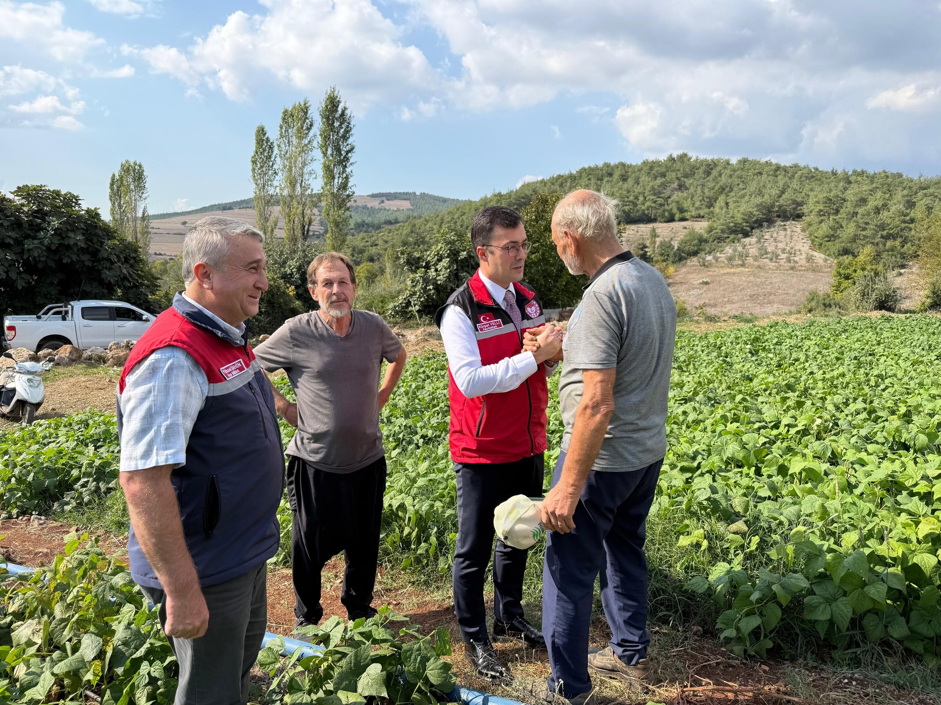 Osmaniye Hasanbeyli’de Fasulye Hasadı Başladı2
