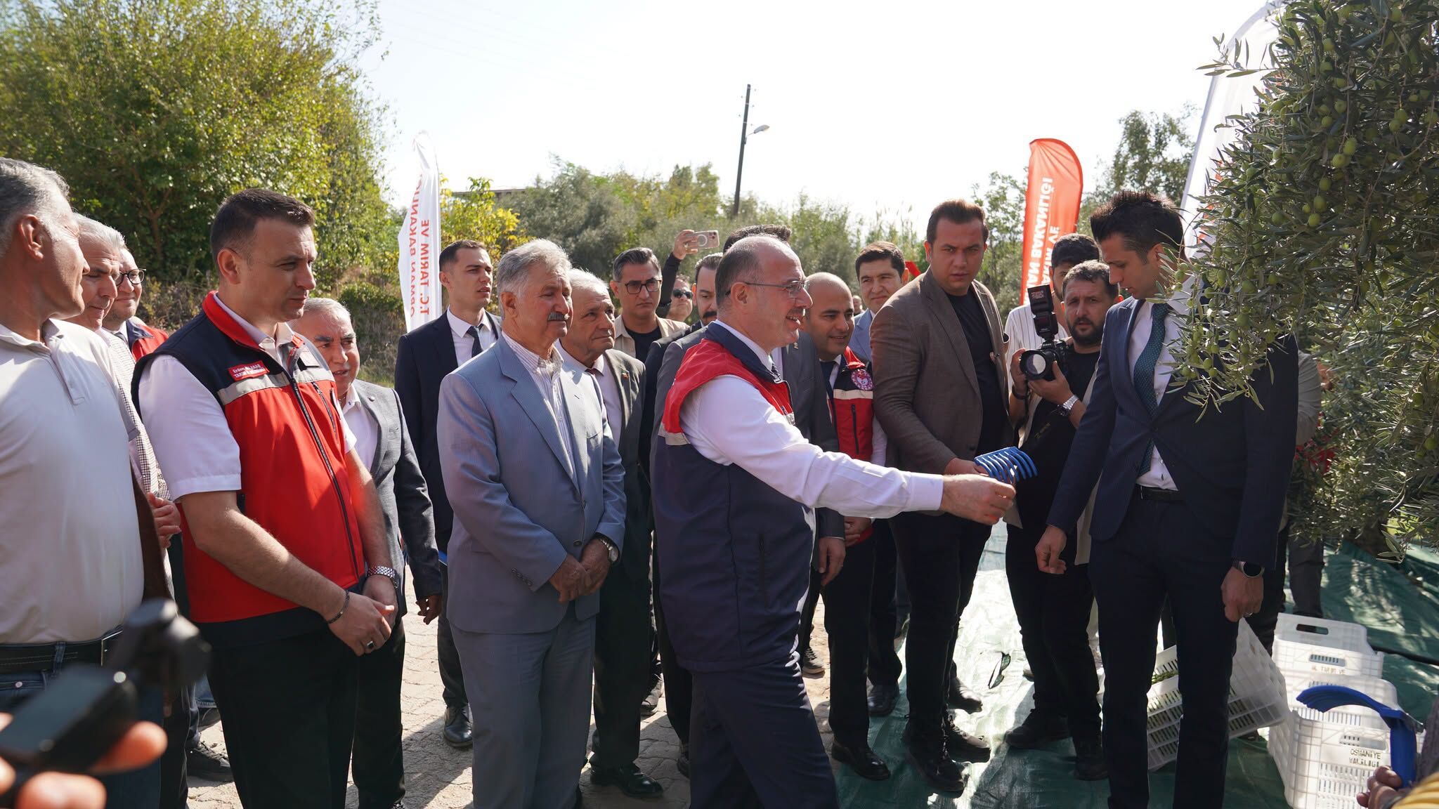 Osmaniye Kazmaca’da Zeytin Hasadı Törenle Başladı2