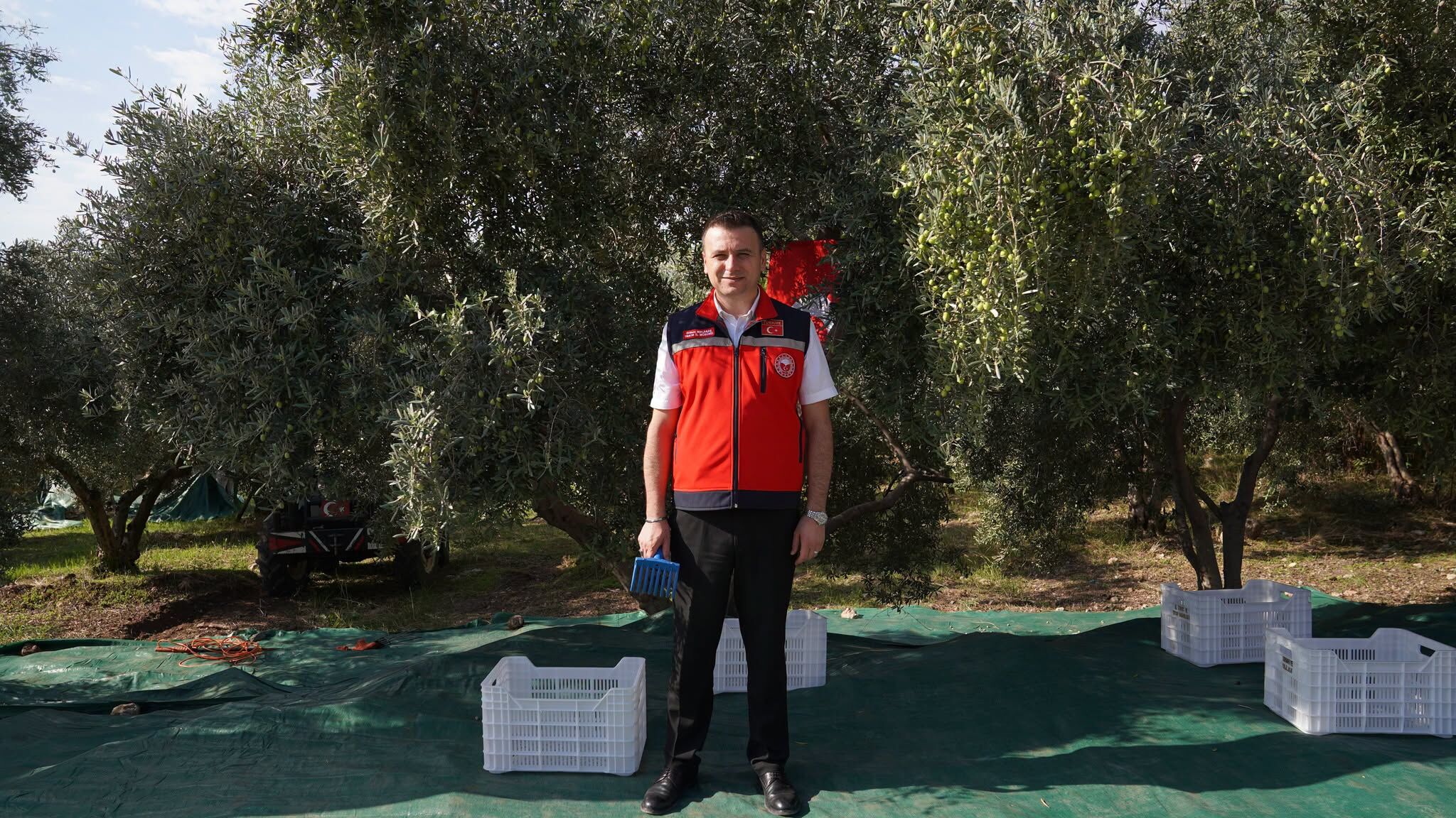 Osmaniye Kazmaca’da Zeytin Hasadı Törenle Başladı4