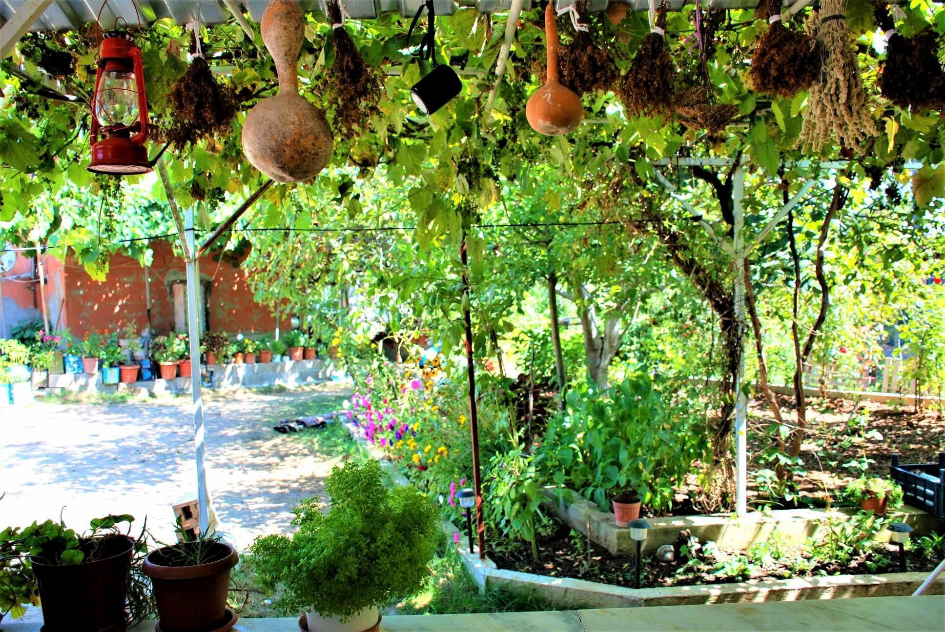 Osmaniye Mitisin Yaylası’ndan Sonbahar Manzaraları3