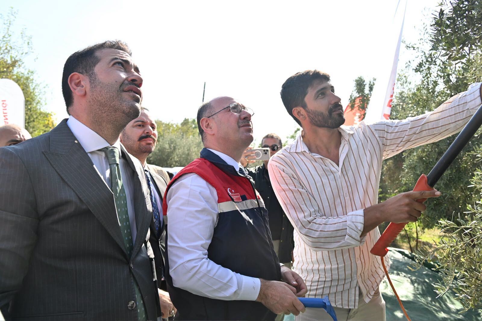 Osmaniye Valisi Serdengeçti Zeytin Rekoltesini Açıkladı2