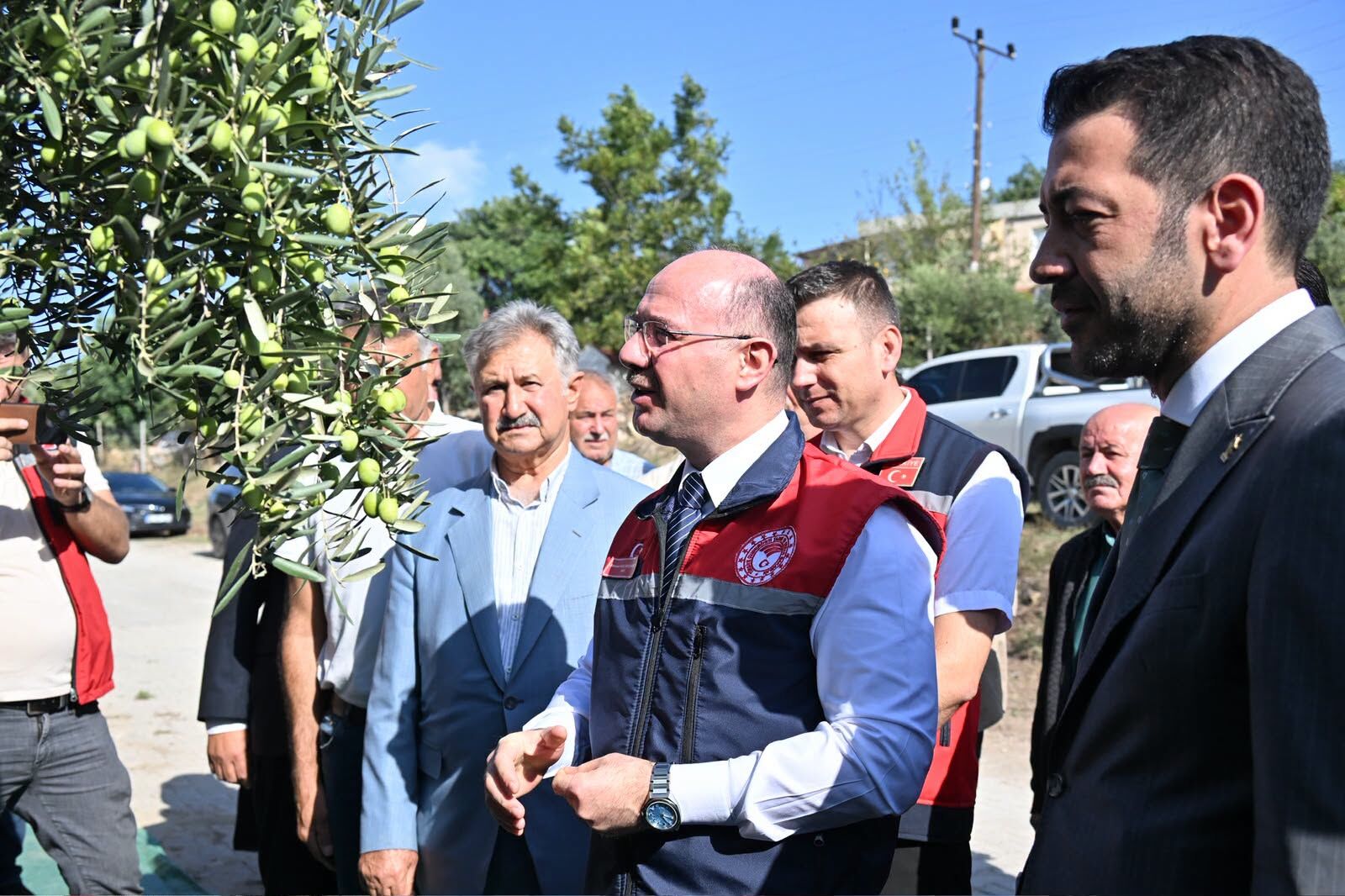 Osmaniye Valisi Serdengeçti Zeytin Rekoltesini Açıkladı4