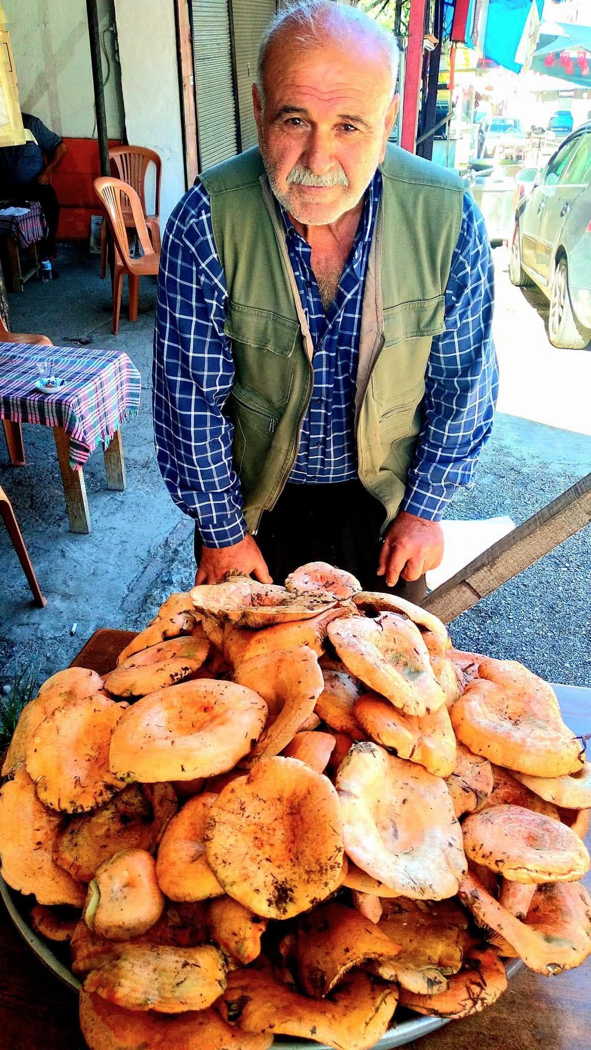 Osmaniye Zorkun Yaylası'nda Kanlıca Mantarı Heyecanı