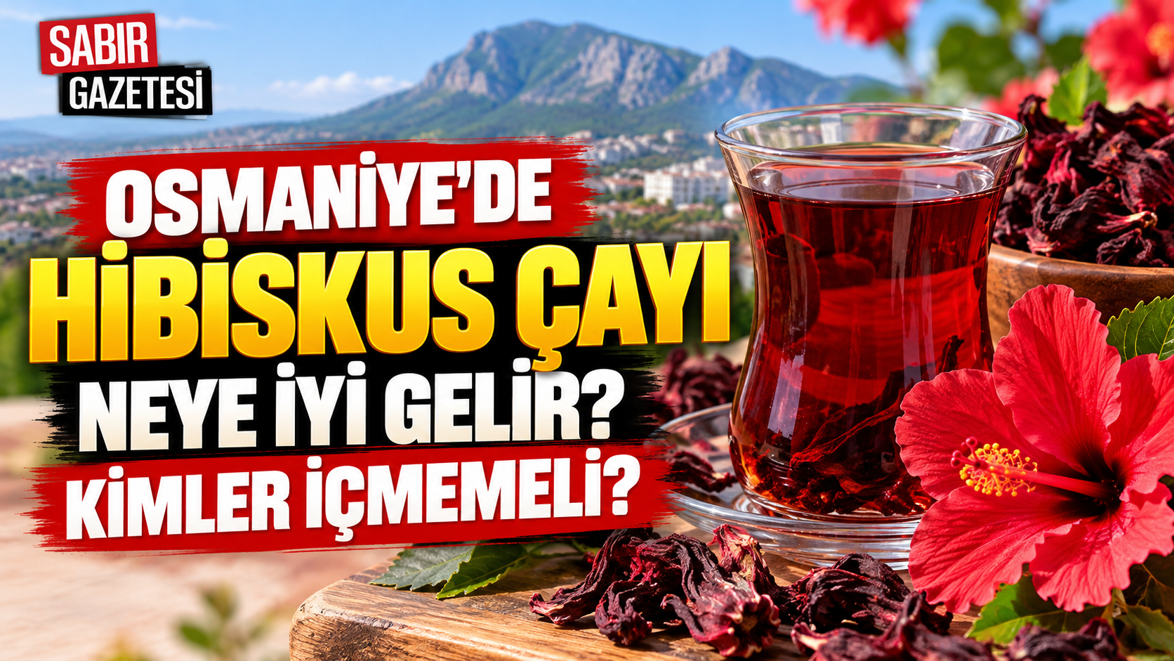 Osmaniye'de Hibiskus Çayı Neye İyi Gelir Kimler İçmemeli?