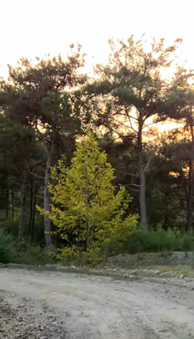 Osmaniye’de Kengerli’den Çona’ya Yayla Yolculuğu5