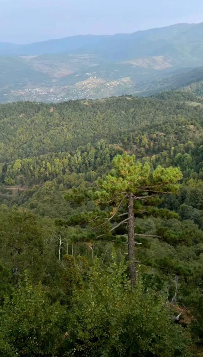 Osmaniye’de Kengerli’den Çona’ya Yayla Yolculuğu6