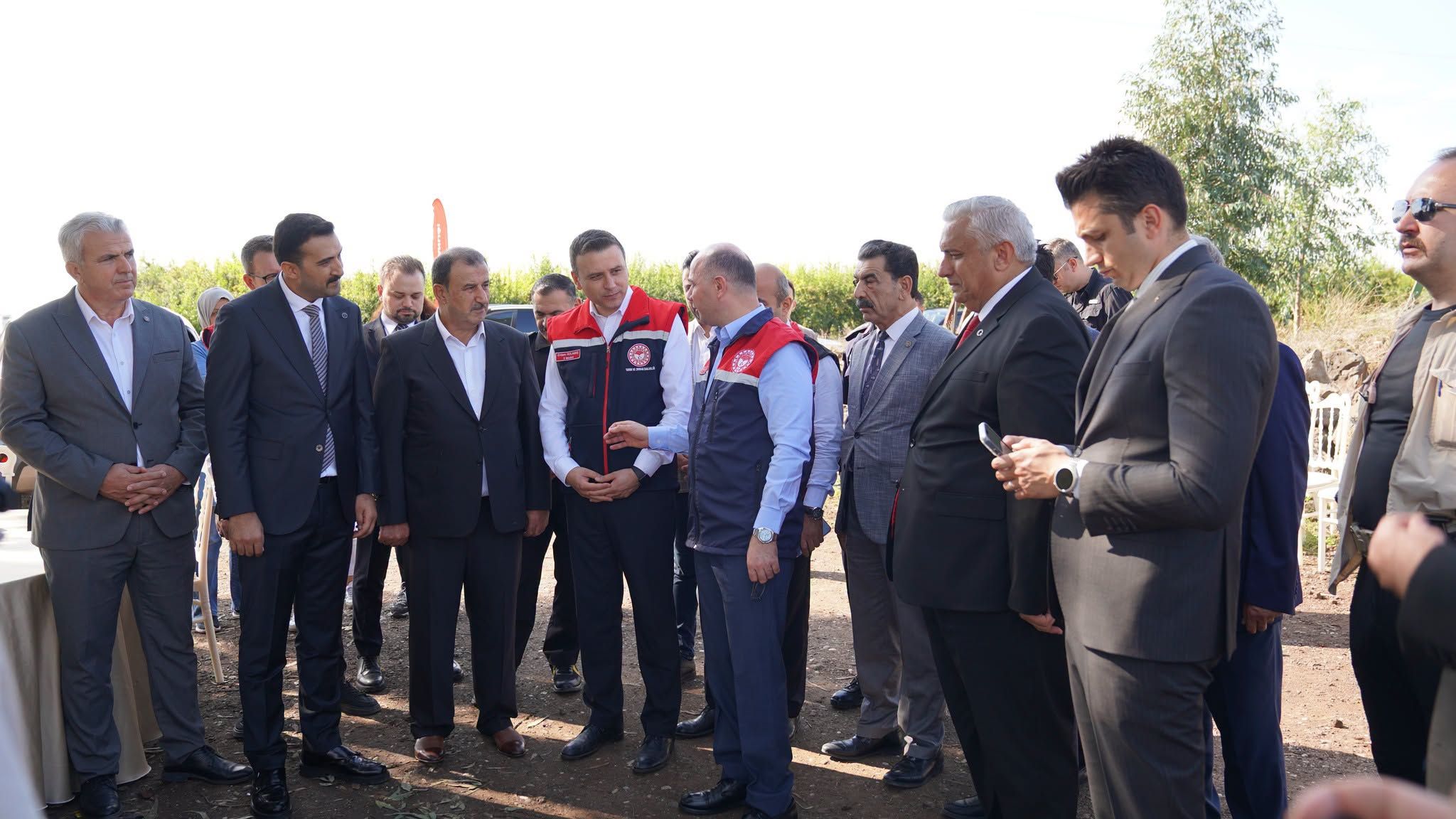 Osmaniye’de Nar Hasadı 2 Bin Dekarda Üretim Yapılıyor2