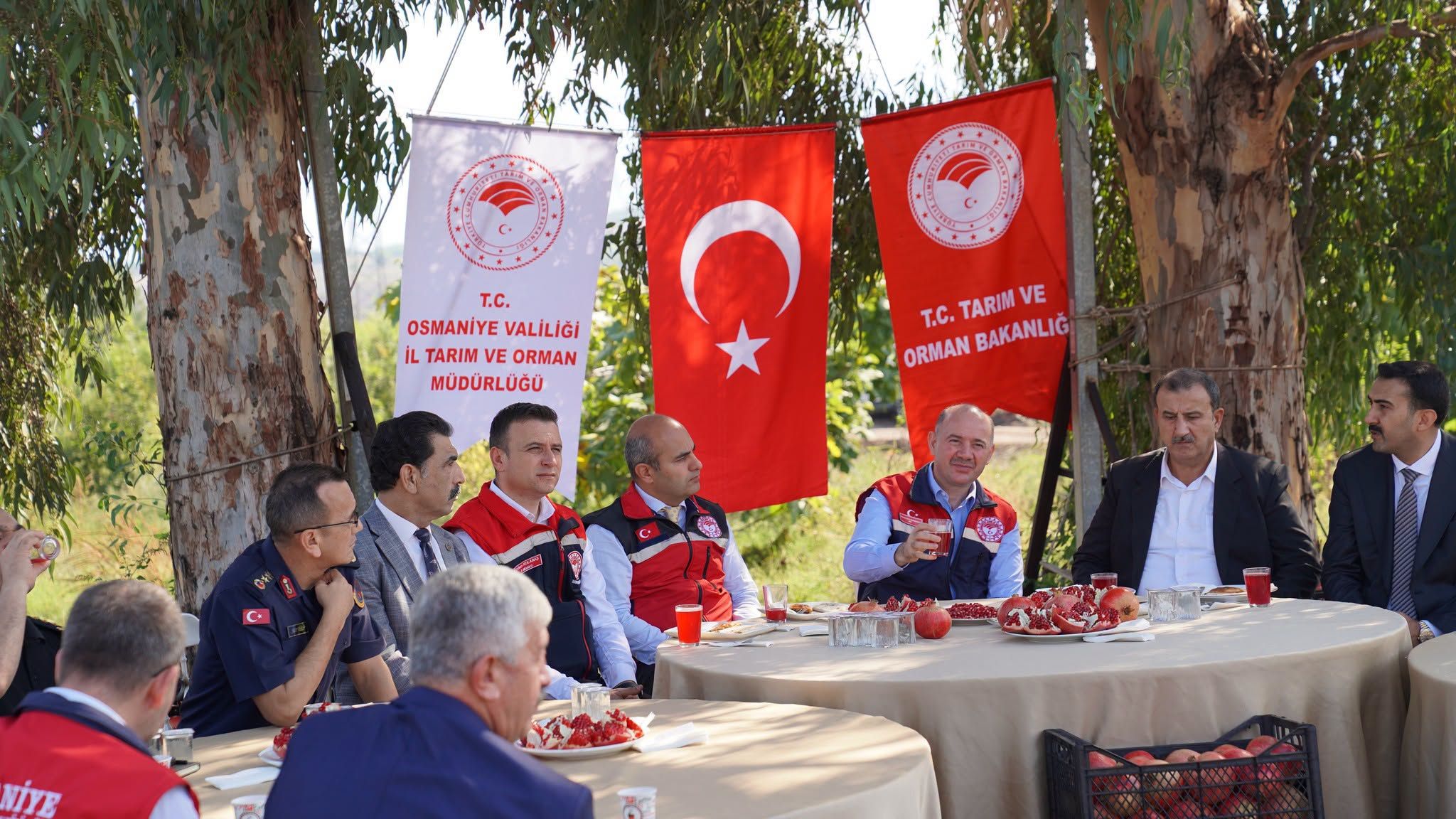 Osmaniye’de Nar Hasadı 2 Bin Dekarda Üretim Yapılıyor5