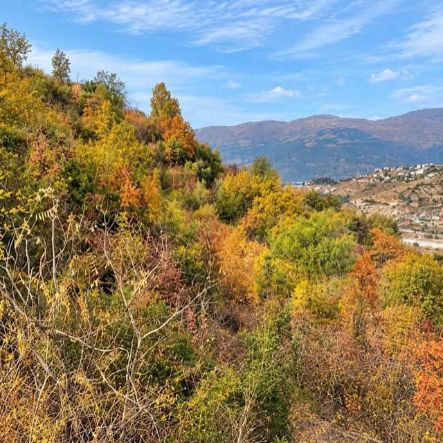 Osmaniye'de Savranlı Köy Evlerinin Son Durumu Ne (1)