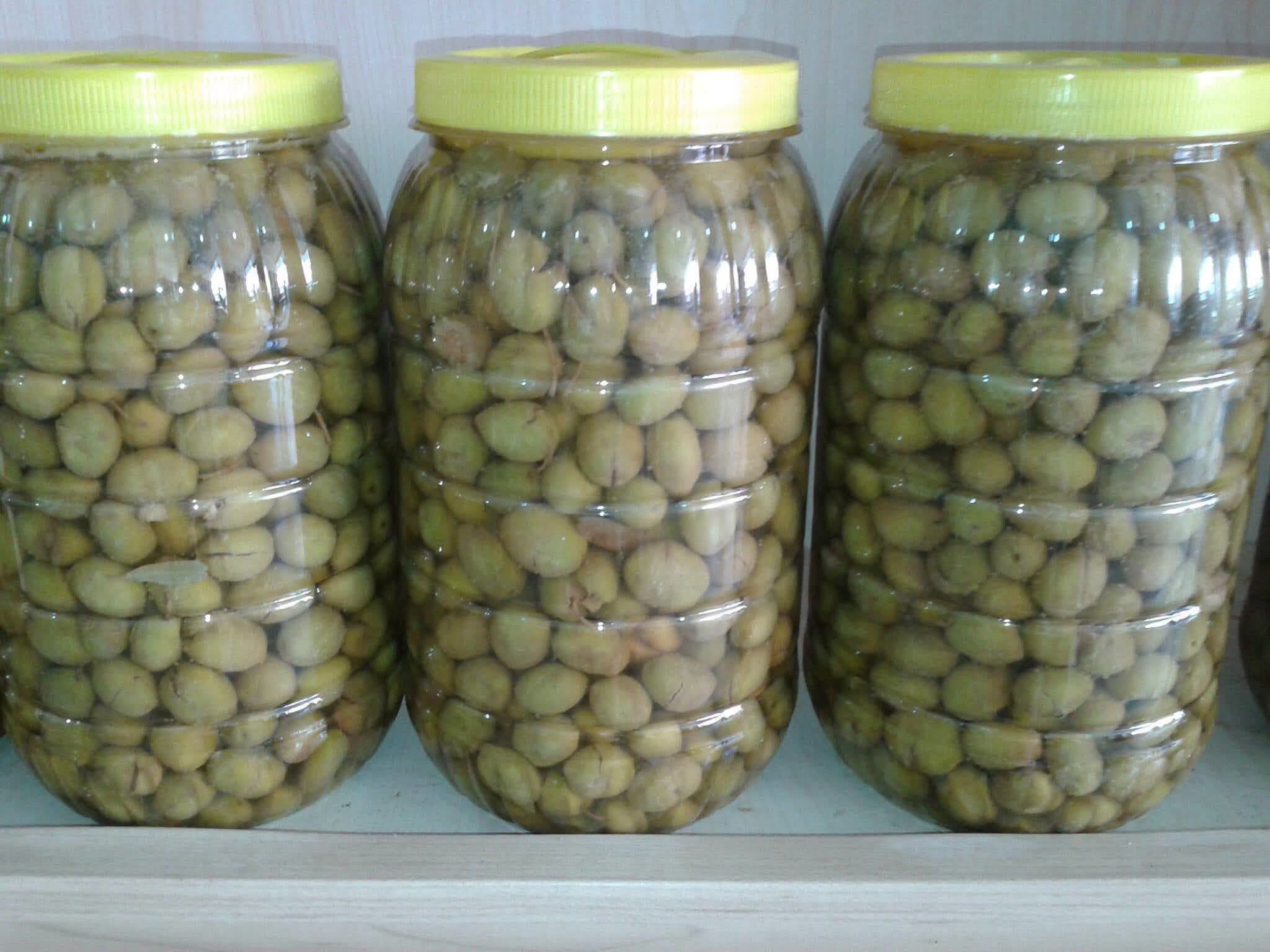 Osmaniye’de Zeytin Ve Zeytinyağı Üretiminin Yolculuğu5