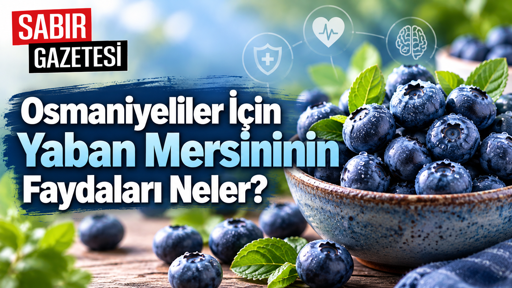 Osmaniyeliler İçin Yaban Mersininin Faydaları Neler?