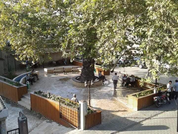 Osmaniye’nin Hafızasında Tarihi Çınarlı Kahve (4)