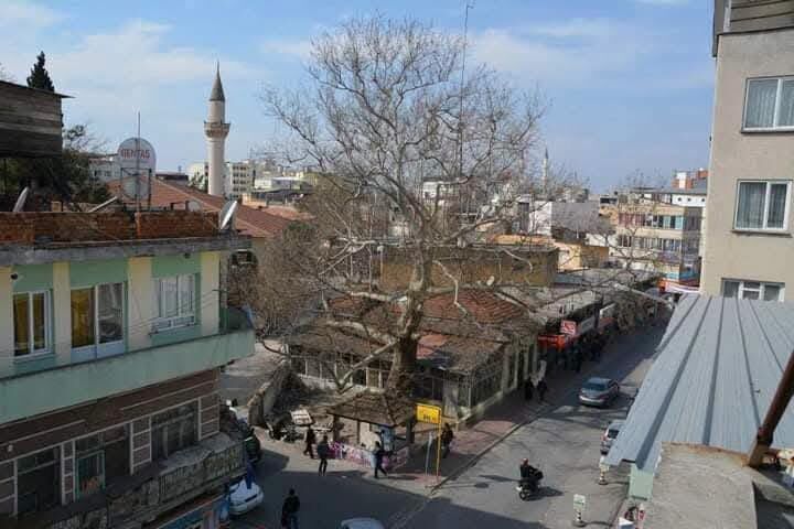 Osmaniye’nin Hafızasında Tarihi Çınarlı Kahve (5)