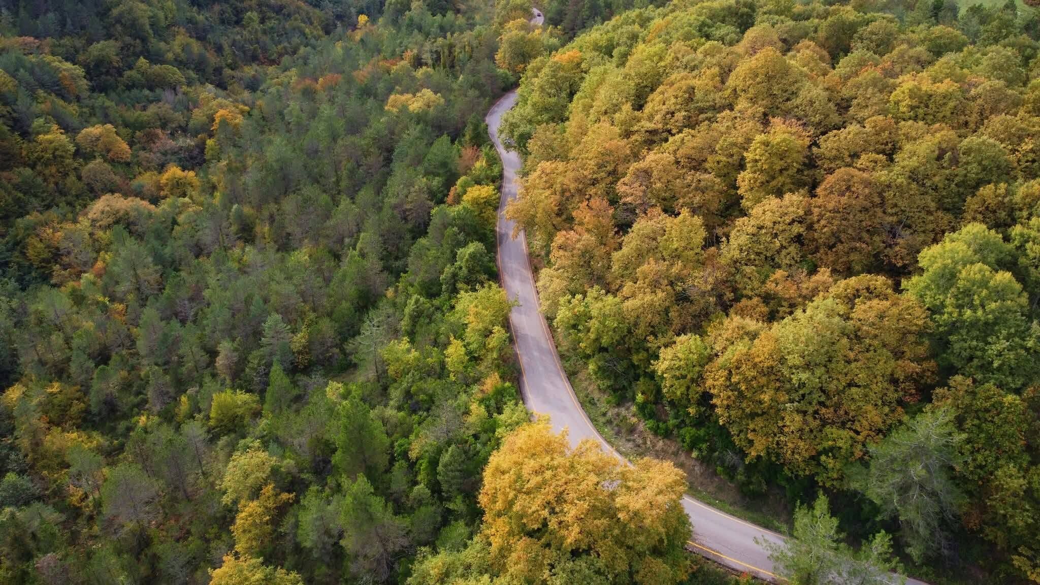 Sinop’ta Sonbahar Doğa Renklerin En Güzel Hâline Büründü3