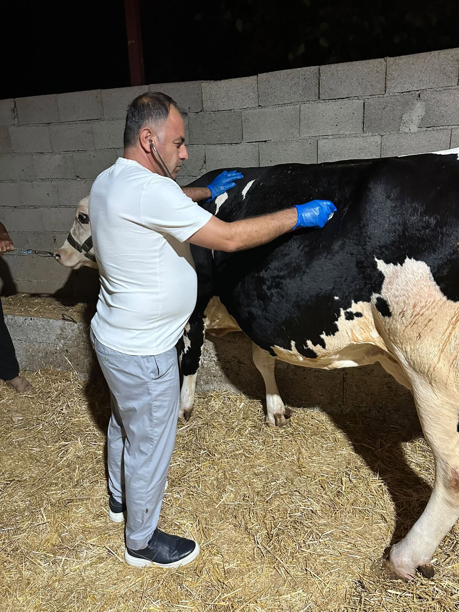 Veteriner Hekim Mahmut Yaş Gece Saatlerinde Sahadaydı-1