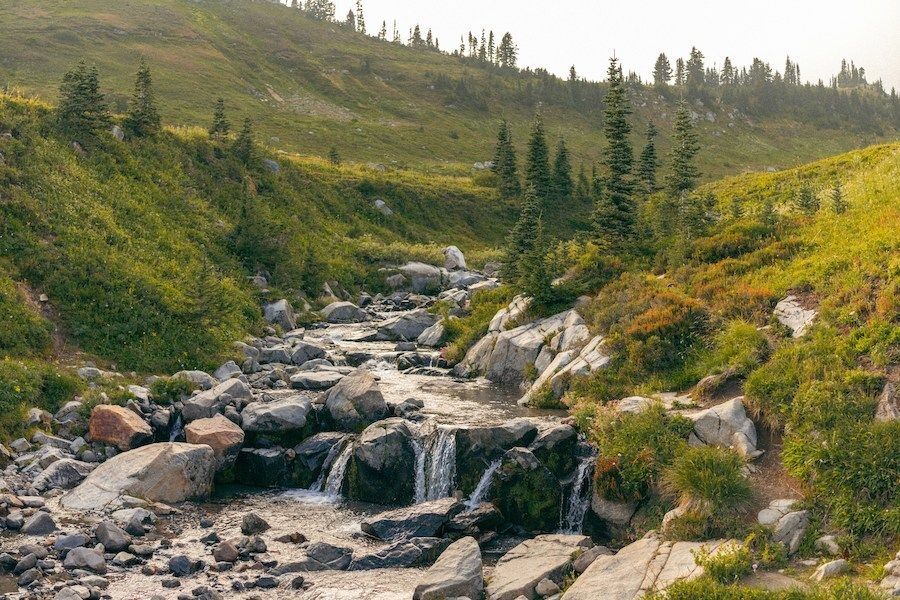 Yazın Gidilecek En Güzel Karadeniz Yaylaları Hangileri4
